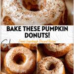 Golden Sourdough Pumpkin Donuts Baked with a light glaze and sprinkled with cinnamon sugar.